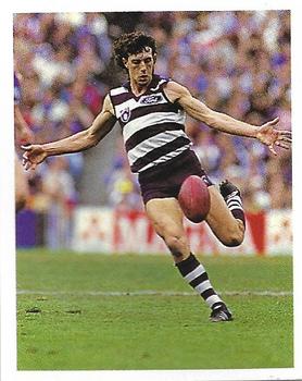 1993 Select AFL Stickers #127 Peter Riccardi Front